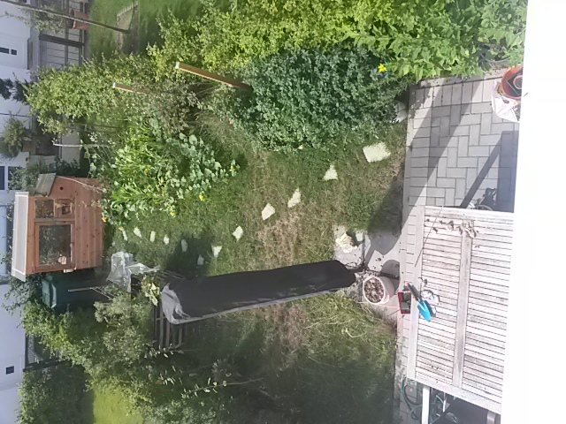 20170711_102511.jpg