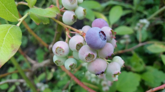 2017-07-21 20.28.14.jpg