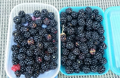 2017-07-22 21.14.21.jpg