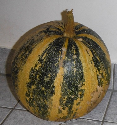 DSCF1654.JPG