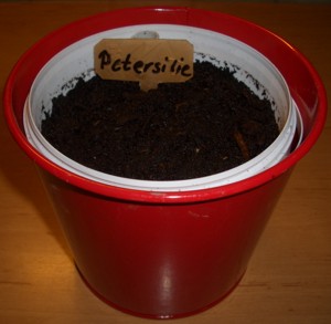 Pet4.jpg