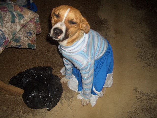 Lori zur heißen Zeit ( 1Woche)