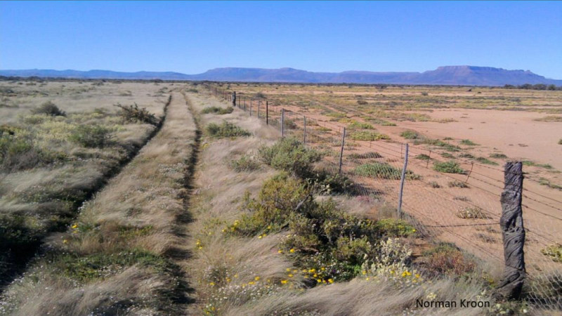 Savory_Karoo_desert.jpg