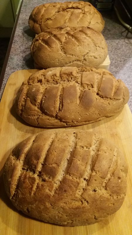 k-brot.jpg
