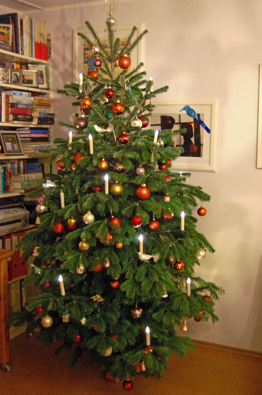 2017 Christbaum kle.jpg