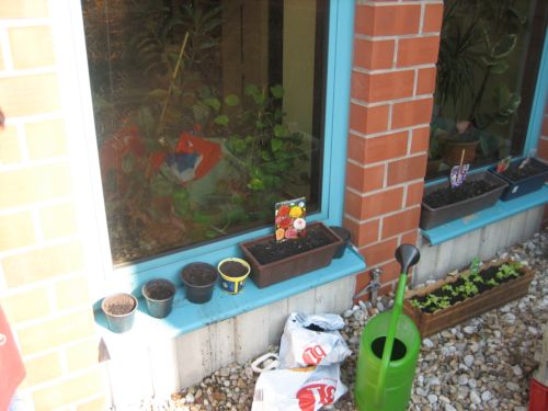 Grünzeug Schule 002.jpg