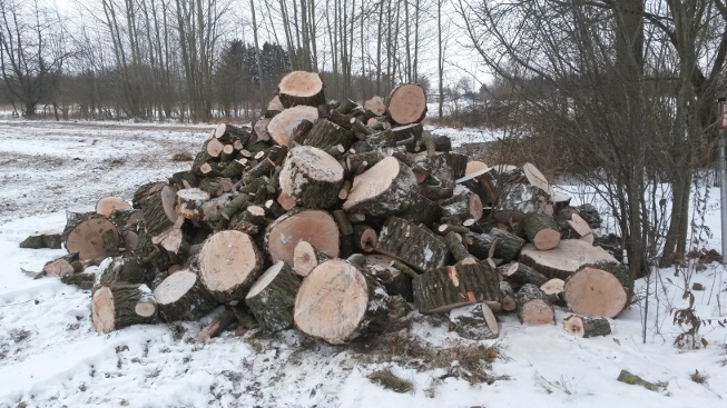 holz.jpg