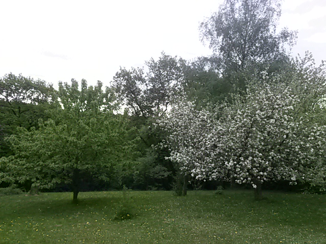 Blick von der Mitte nach unten