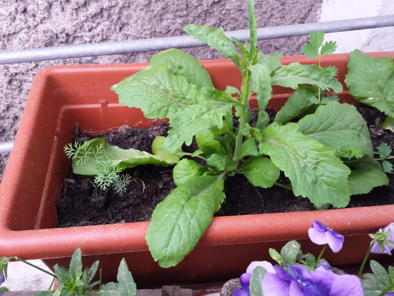 20180508_170139.jpg