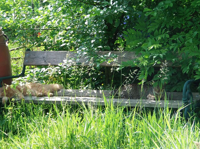 k-genug gearbeitet.JPG