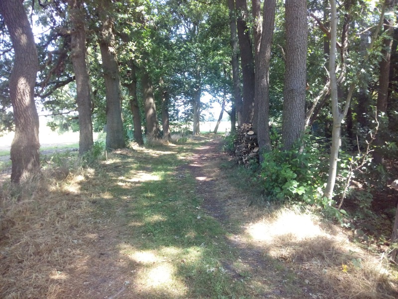 Allee 1.jpg