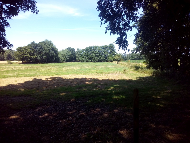 Blick auf Nordweide.jpg