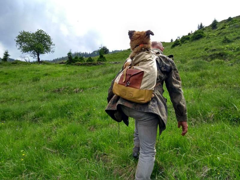 Hund darf auf der Alm noch nicht so weit laufen