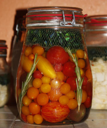 Tomaten_in Rosmarin_und_Chili_fermentiert_klein.jpg