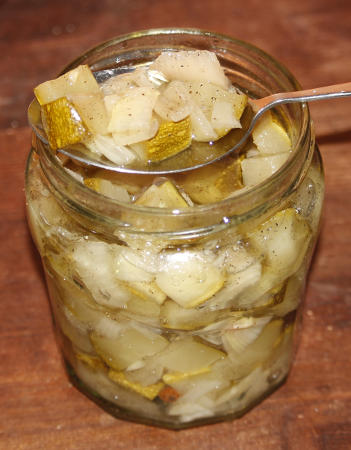 Zucchini-Matjes_nach_13_Monaten.jpg