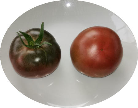 Tomate_Schwarze_Krim_von_Aldi_2.jpg