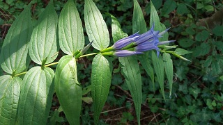 IMG-20180901-WA0006.jpg