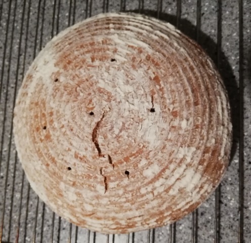 IMG_20181229_190600.jpg