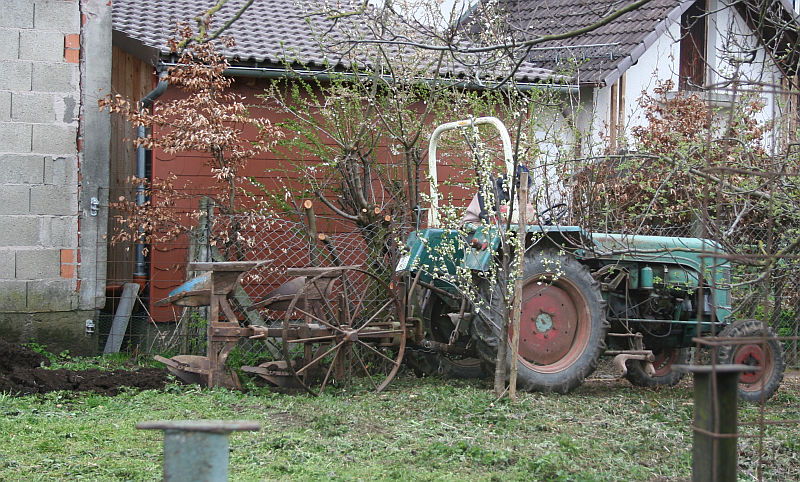 2012-04-24_Papa_pfluegt_3.jpg