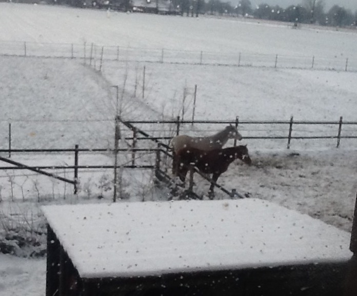 Kompostmitarbeiter in der Mittagspause