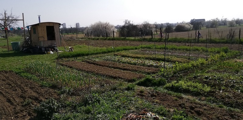 2019-03-24 14.48.37.jpg