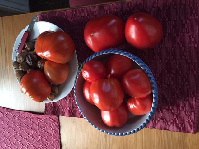 tomaten.JPG