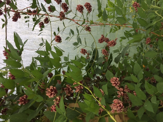 Habitus, 90° rechts bitte denken