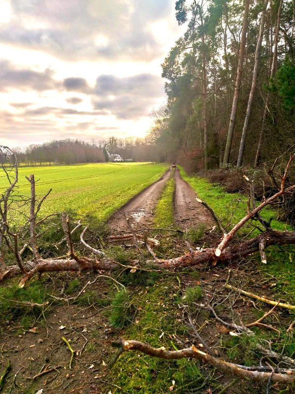 auch eine wegsperre kann gut aus sehen