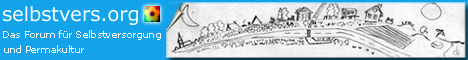 banner-forum.jpg