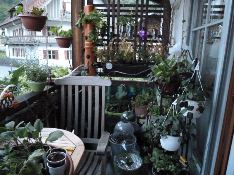 P1000607 - Kopie.JPG