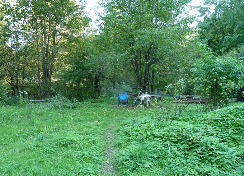 kleiner Teil des Gartens im letzten Herbst