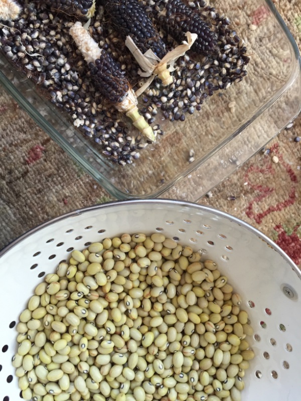 Hutterite Soup und Popcornmais