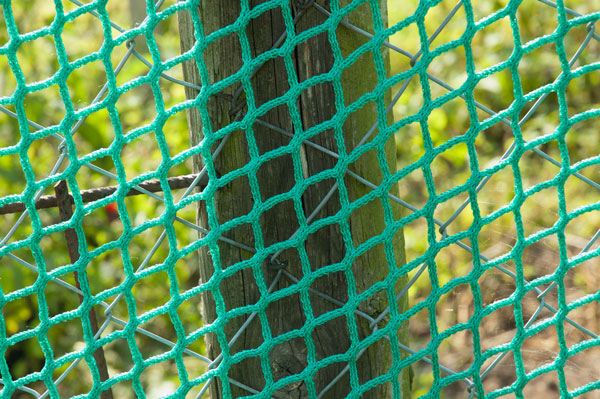 Maschenweite im Vergleich zum Zaun