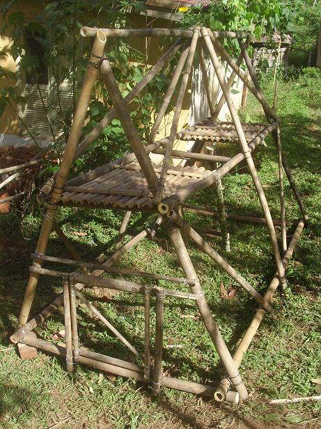 Hühnersänfte 4.JPG