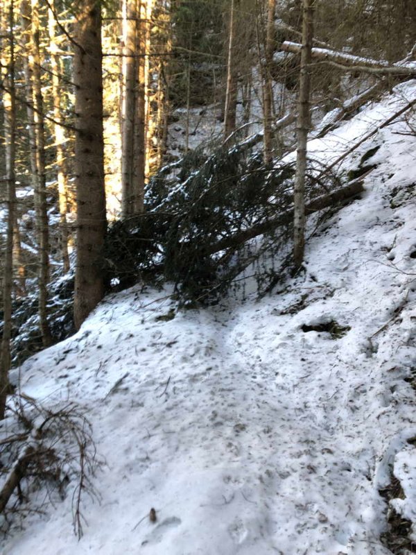 Hüttenweg.jpg