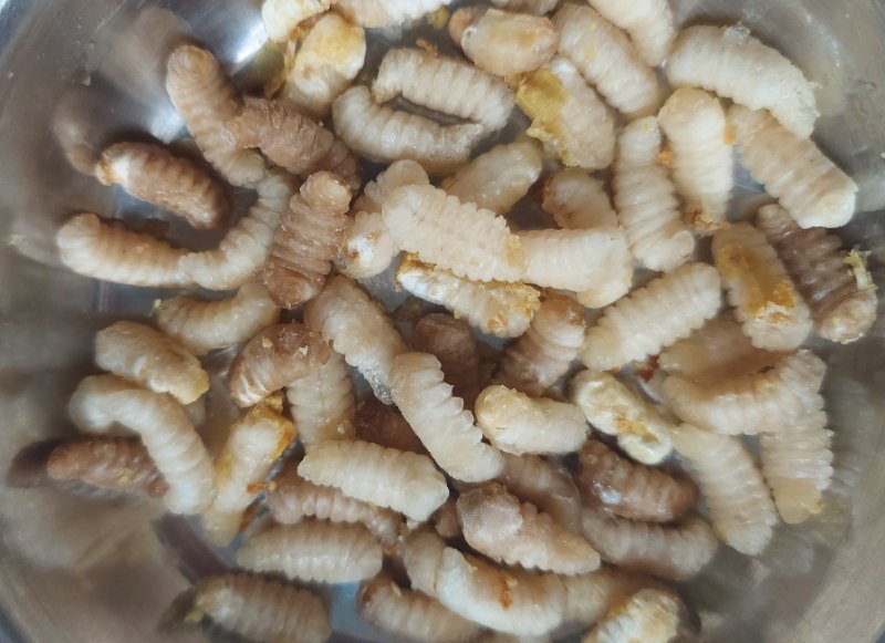 20251227 Drohnen.jpg