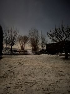 IMG_32821 - Kopie.jpg