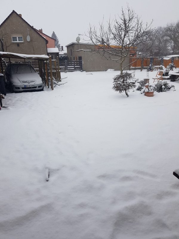 2026 01 Schnee in Annaburg.jpeg