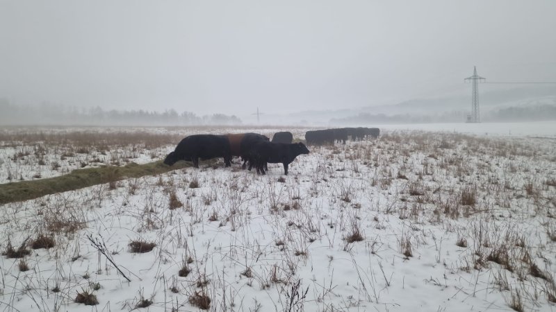 WhatsApp Image 2026-01-14 at 16.03.07.jpeg