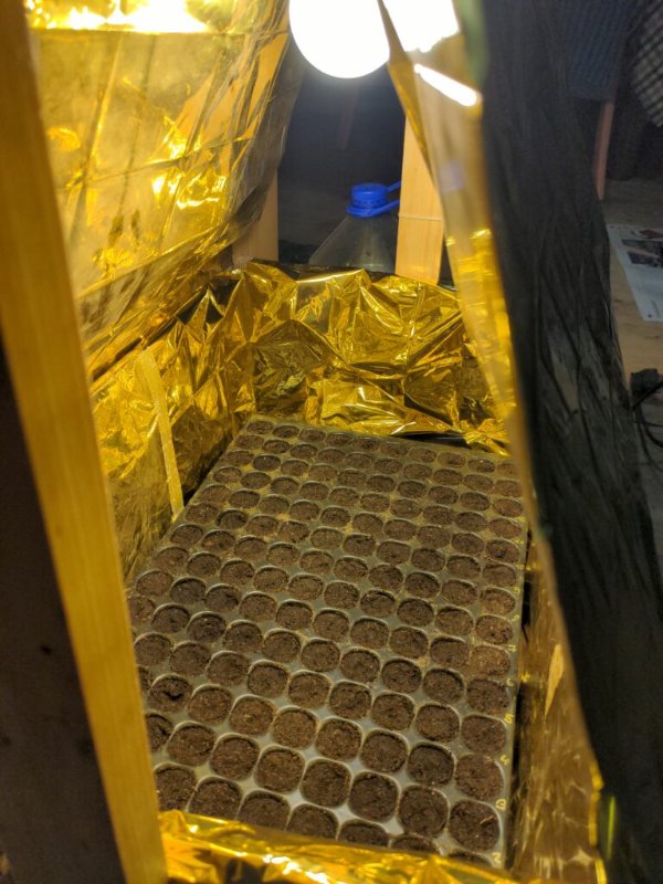 Kleiner Anzuchtkasten.jpg