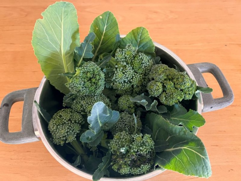 IMG_4323 - Kopie.jpg