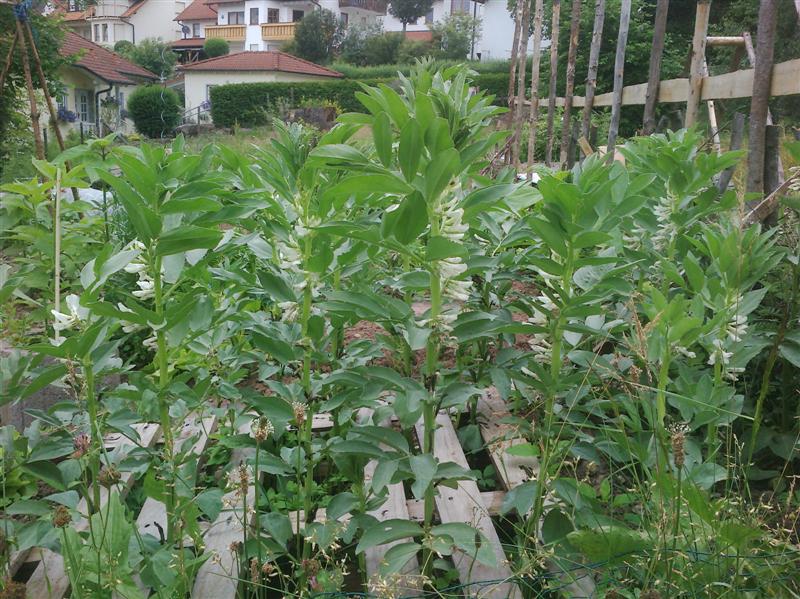 CIMG0010 (Medium).jpg