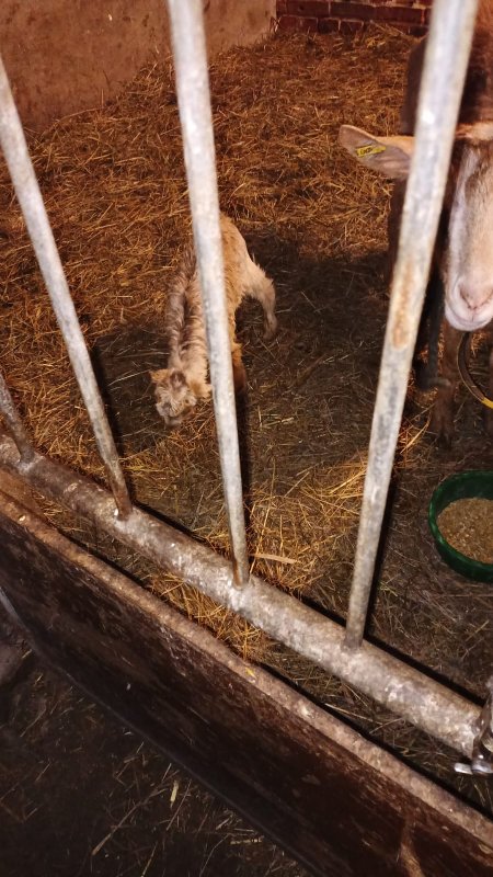 mein kleines süßes Geheimnis.jpg