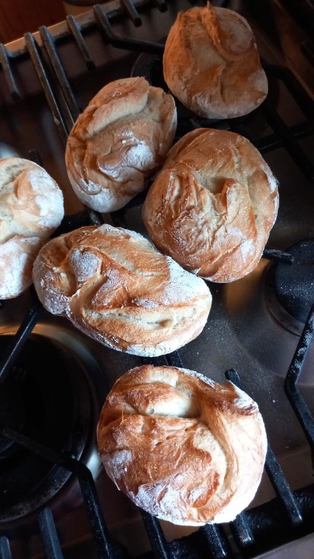 thumbnail Kopie.jpeg