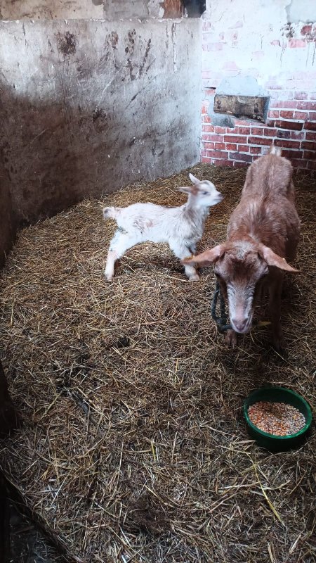 mein kleines süßes Geheimnis2.jpg