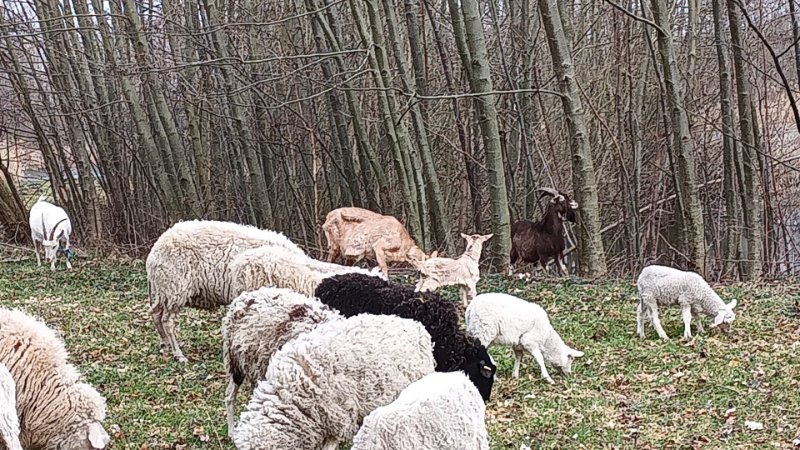 mein kleines süßes Geheimnis3.jpg