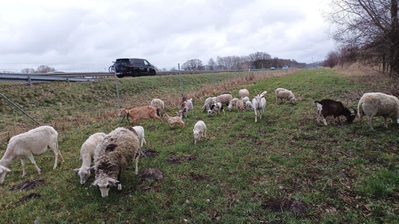 mein kleines süßes Geheimnis4.jpg