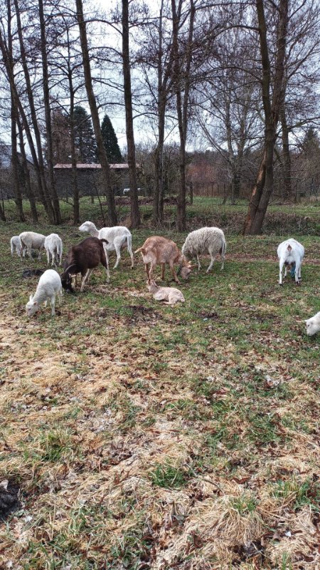 mein kleines süßes Geheimnis5.jpg