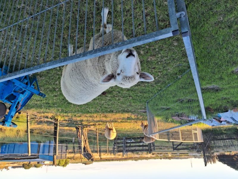 20260322_180534 (3).jpg