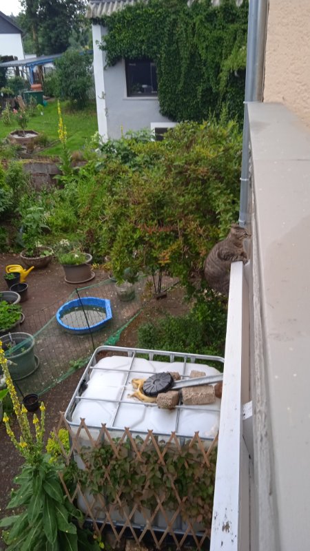 IMG-20240712-WA0005.jpeg